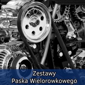 Zestaw Paska Wielorowkowego